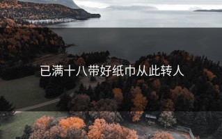 已满十八带好纸巾从此转人