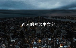 迷人的领居中文字