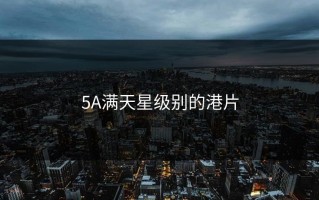 5A满天星级别的港片