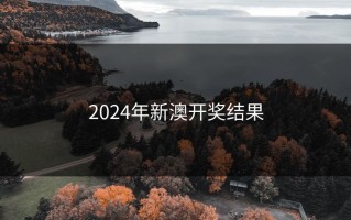 2024年新澳开奖结果