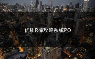 优质R棒攻略系统PO