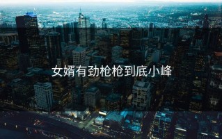 女婿有劲枪枪到底小峰