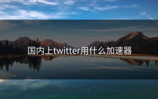 国内上twitter用什么加速器