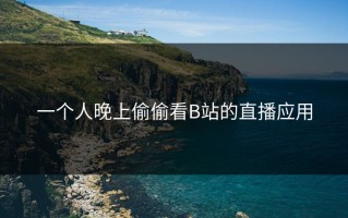 一个人晚上偷偷看B站的直播应用