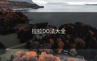 拉拉DO法大全