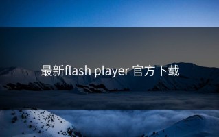 最新flash player 官方下载