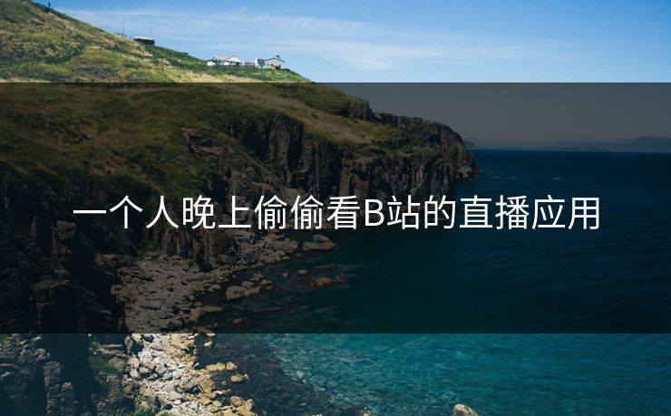 一个人晚上偷偷看B站的直播应用-第1张图片-17c日韩影视网 - 高清影视一站式观看