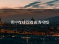 青柠在线观看高清视频