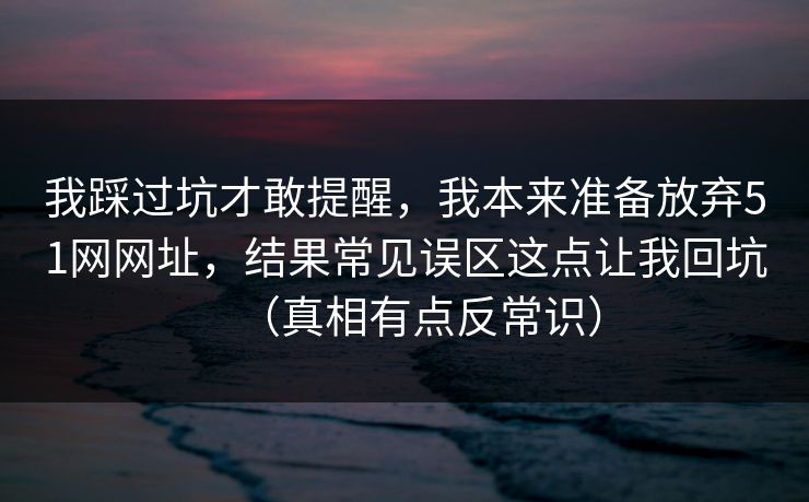 我踩过坑才敢提醒，我本来准备放弃51网网址，结果常见误区这点让我回坑（真相有点反常识）